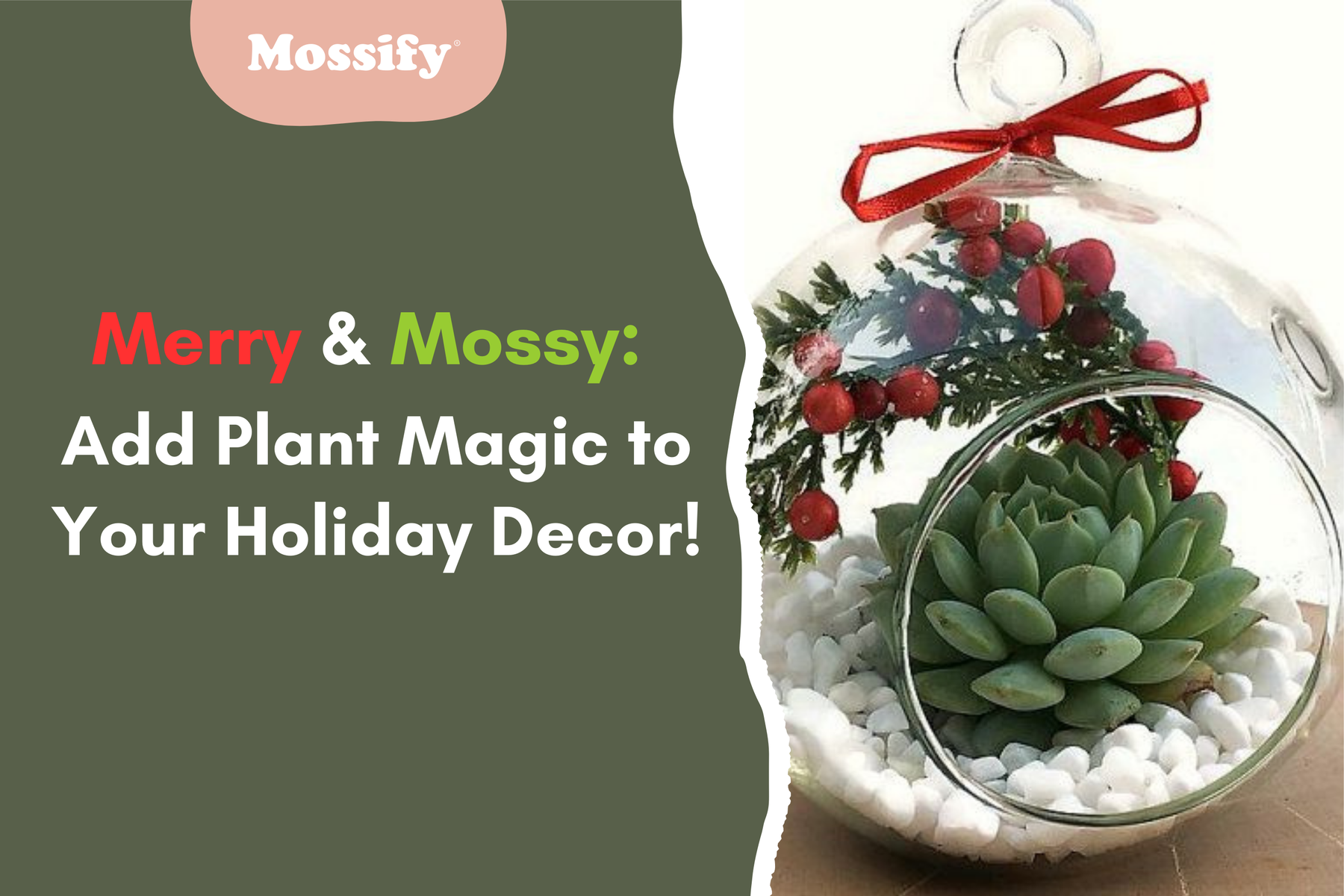 Merry & Mossy: Add Plant Magic to Your Holiday Decor