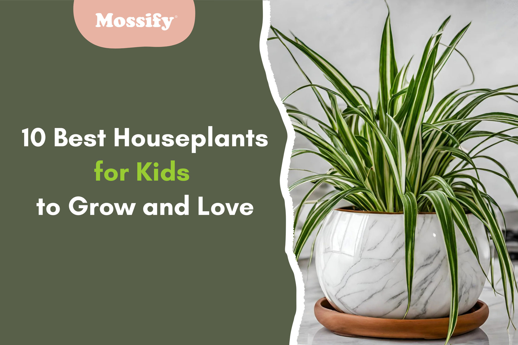 10 Best Houseplants for Kids to Grow and Love