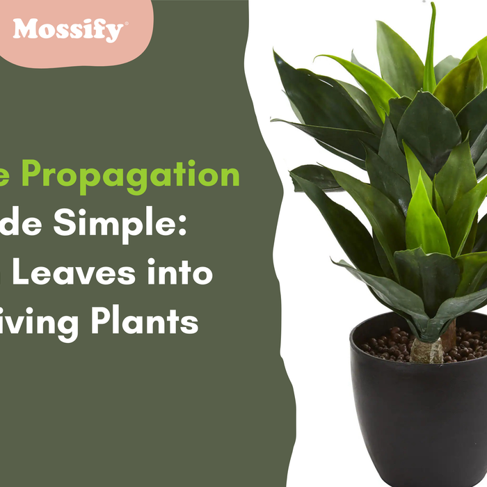 Agave Propagation Made Simple: Turn Leaves into Thriving Plants