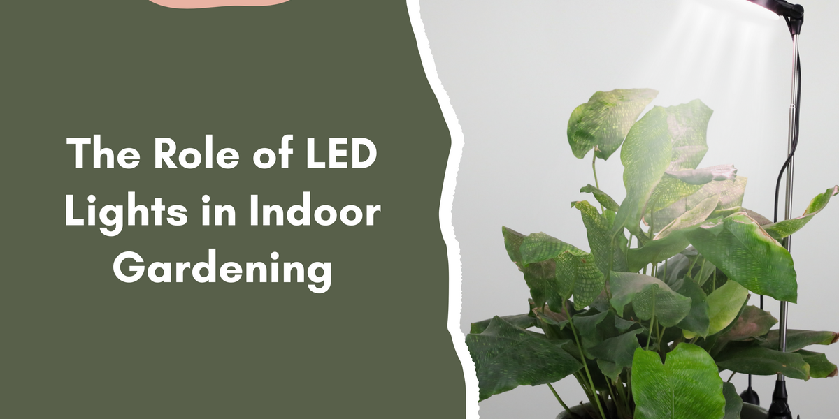 The Role of LED Lights in Indoor Gardening — Mossify