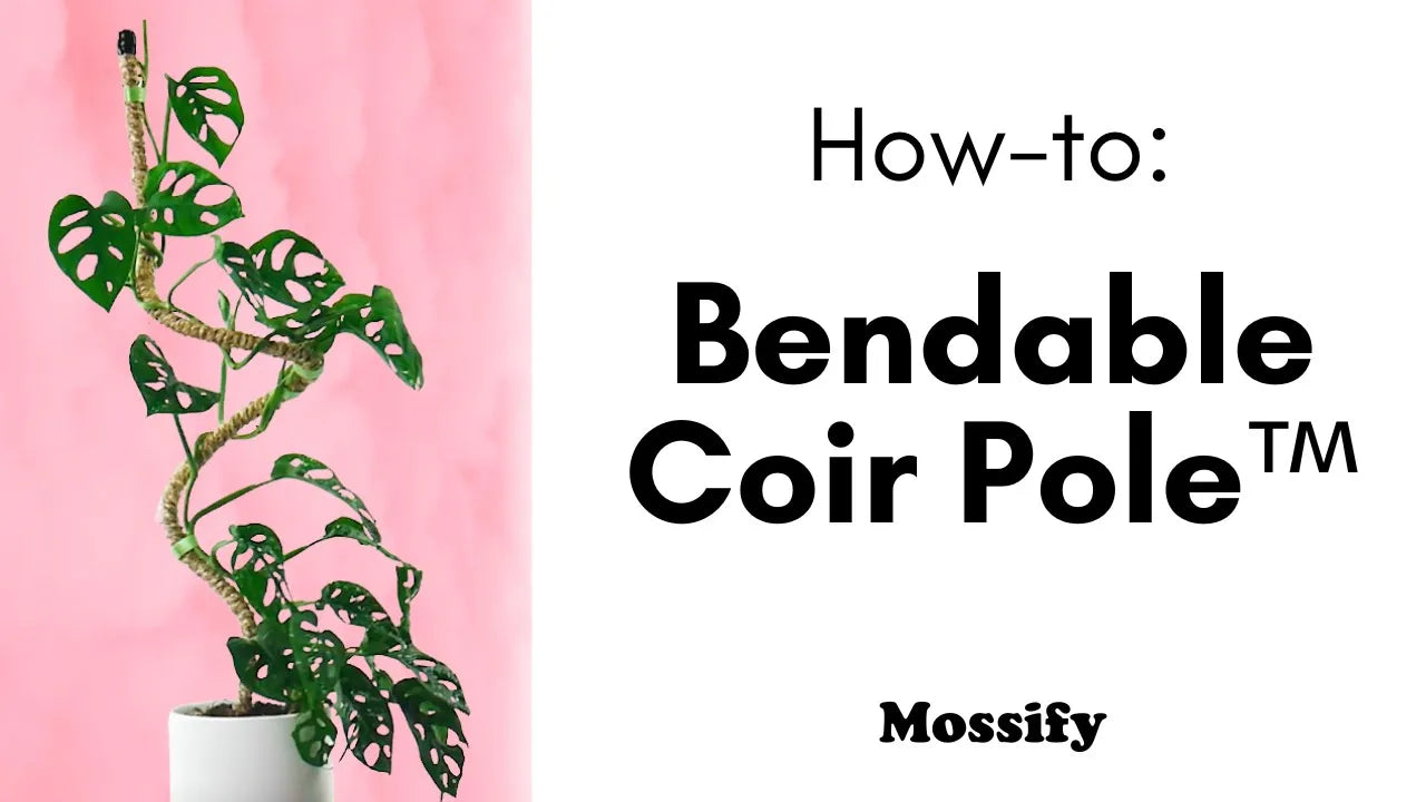 How To Use The Original Bendable Coir Pole™