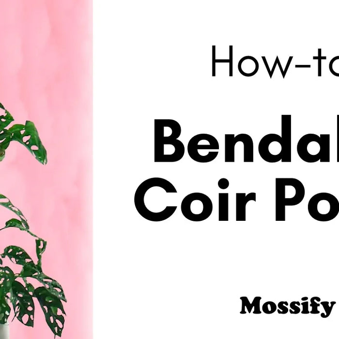 How To Use The Original Bendable Coir Pole™