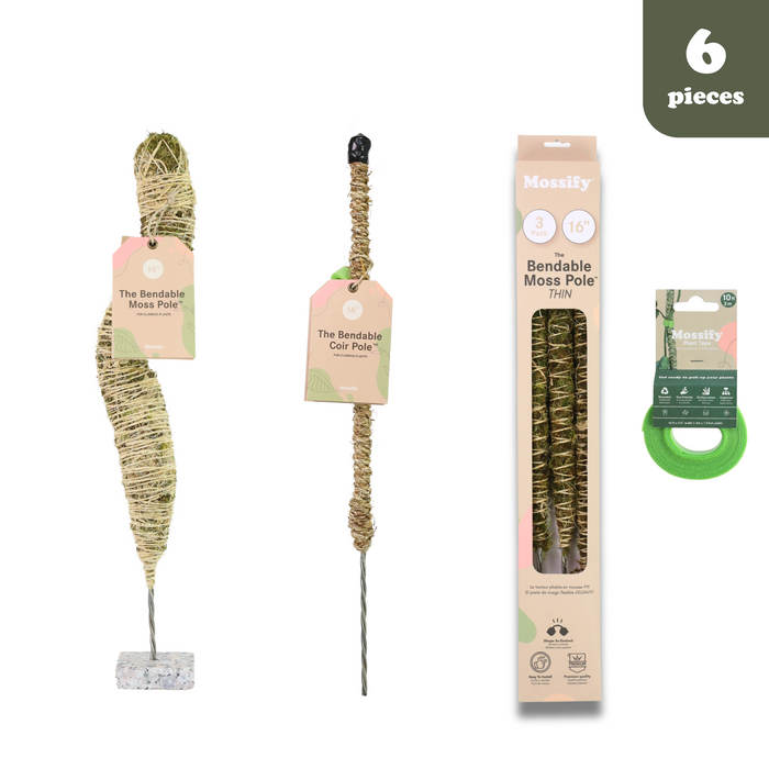 Pack de support pour plantes pliable ultime