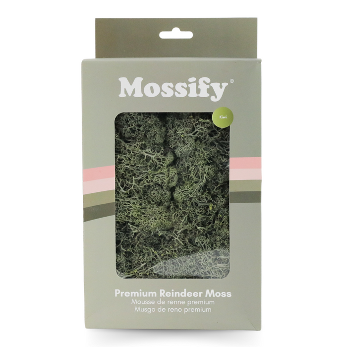 Premium Preserved Reindeer Moss