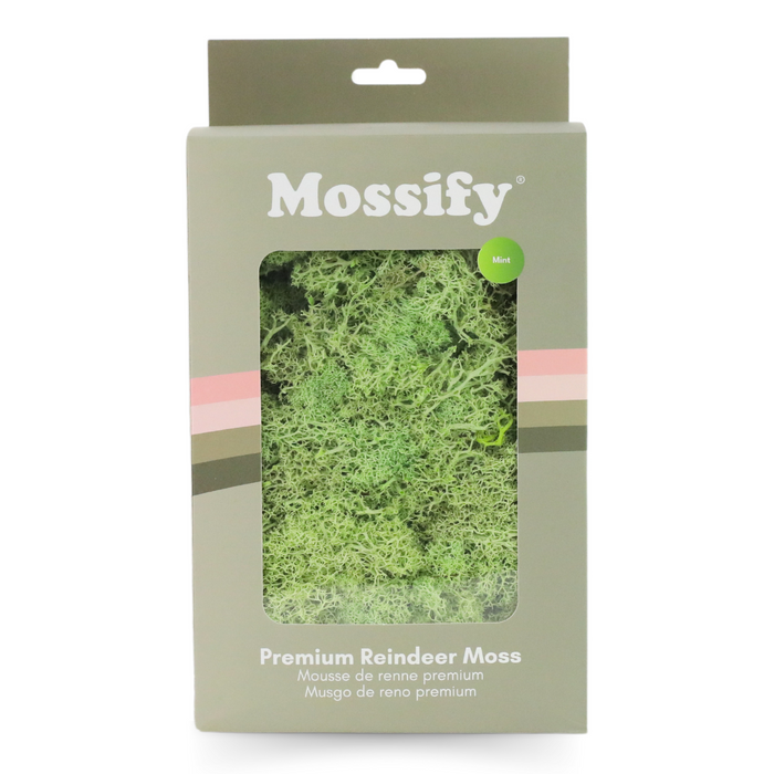 Premium Preserved Reindeer Moss