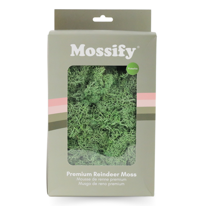 Premium Preserved Reindeer Moss