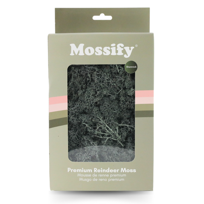 Premium Preserved Reindeer Moss