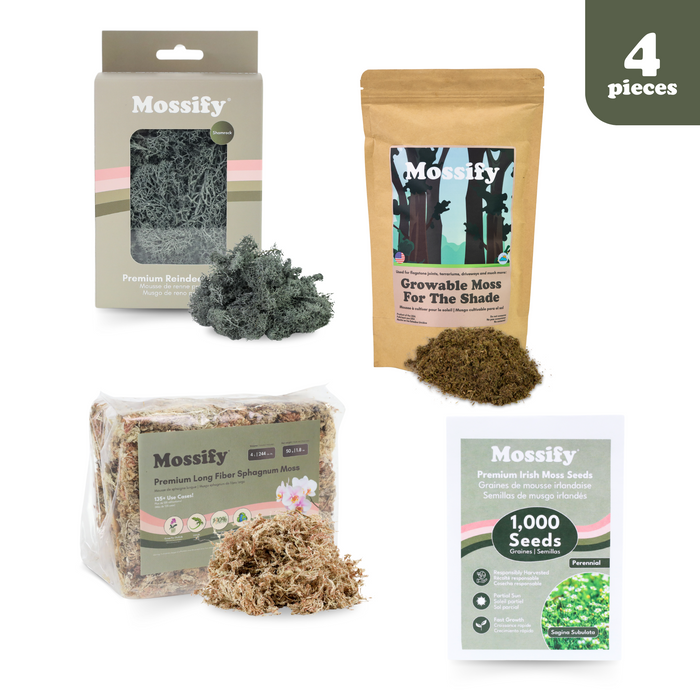 Moss Variety Pack