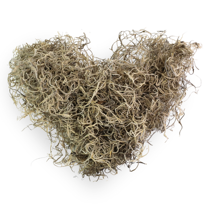 Premium Spanish Moss