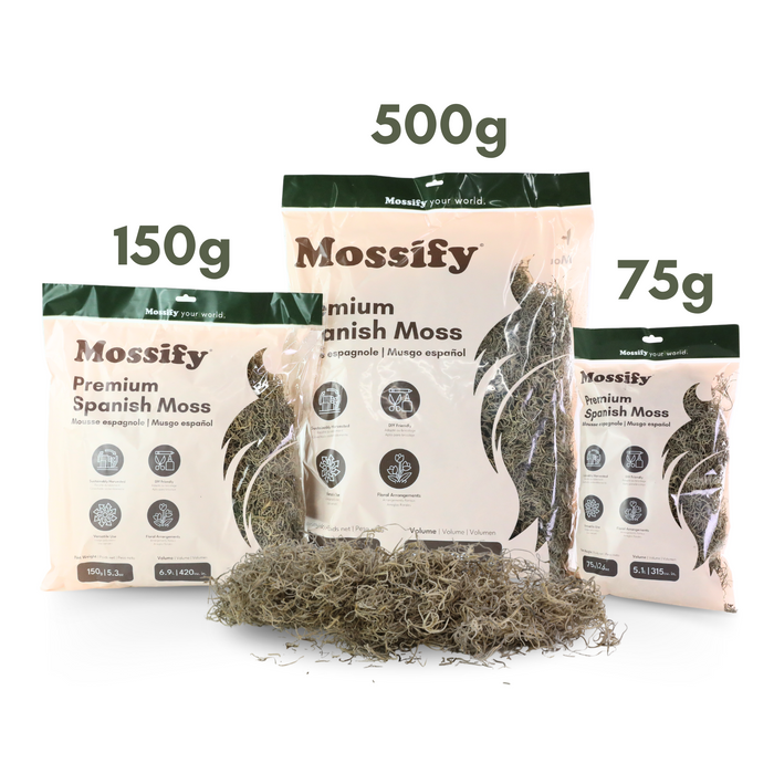 Premium Spanish Moss