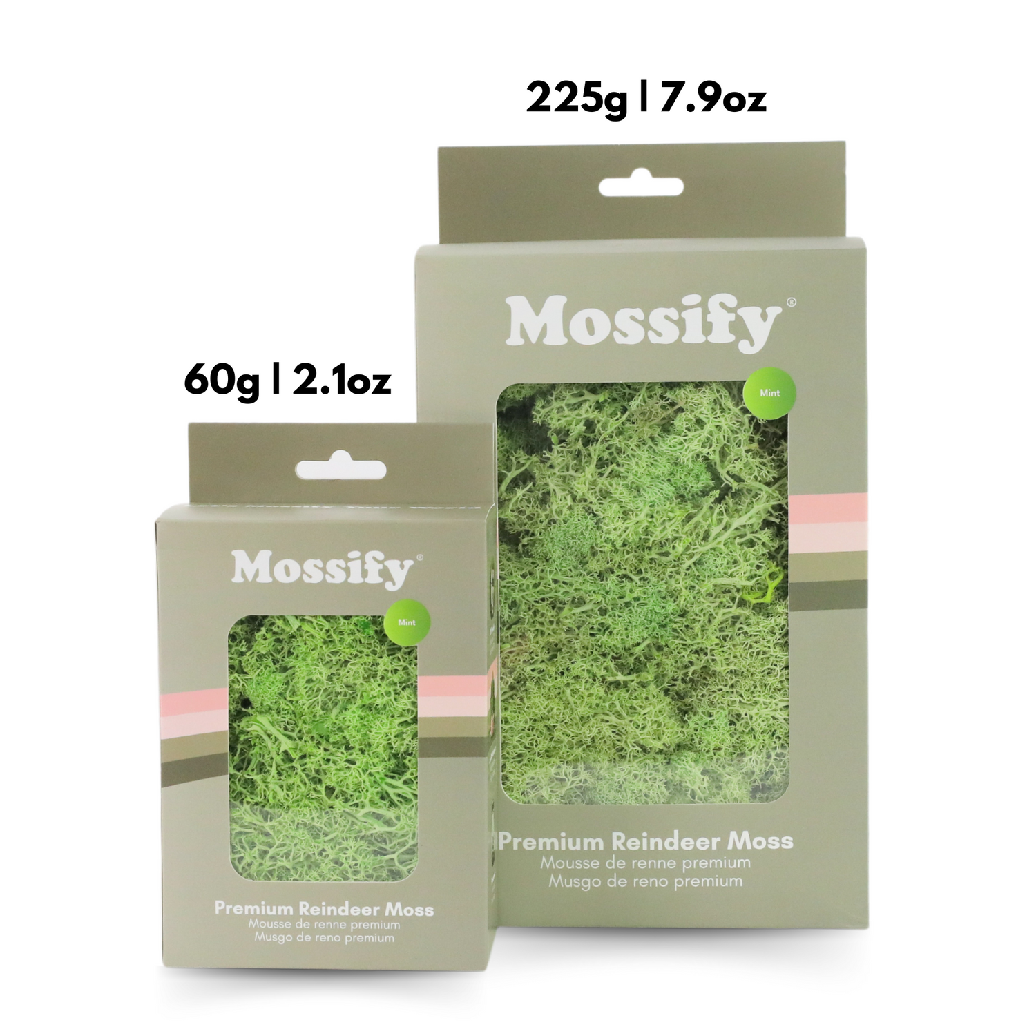 Premium Preserved Reindeer Moss