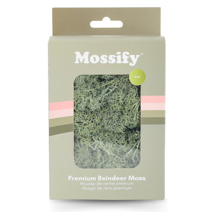 Premium Preserved Reindeer Moss