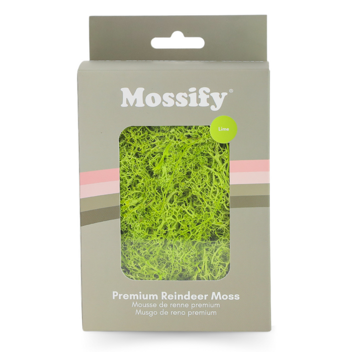 Premium Preserved Reindeer Moss