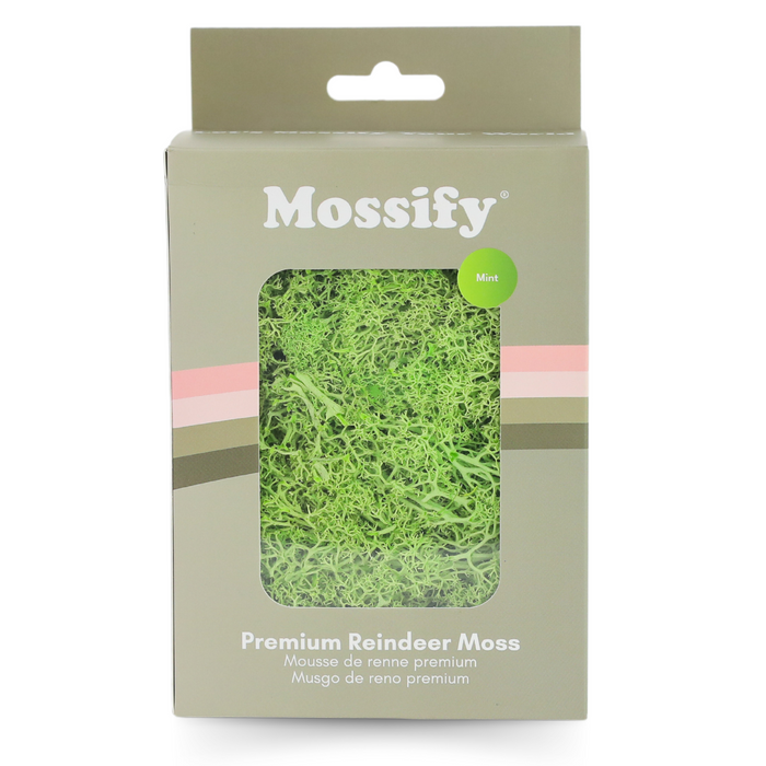 Premium Preserved Reindeer Moss