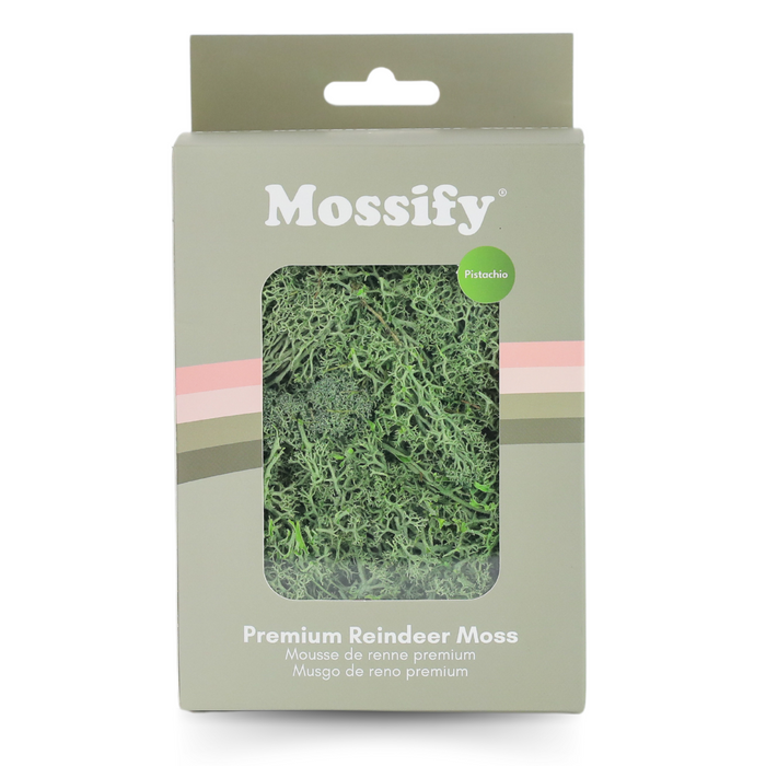 Premium Preserved Reindeer Moss