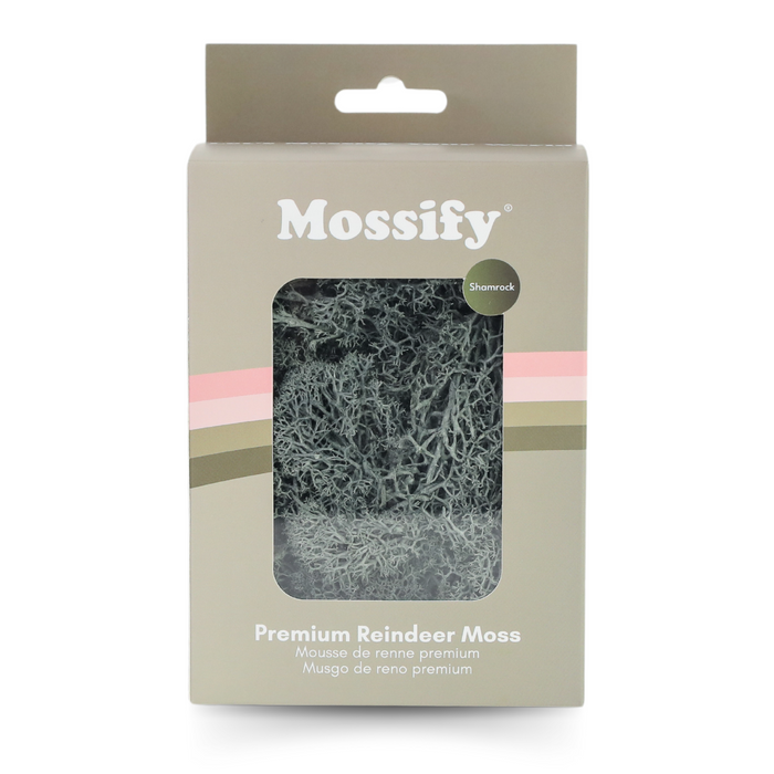 Premium Preserved Reindeer Moss