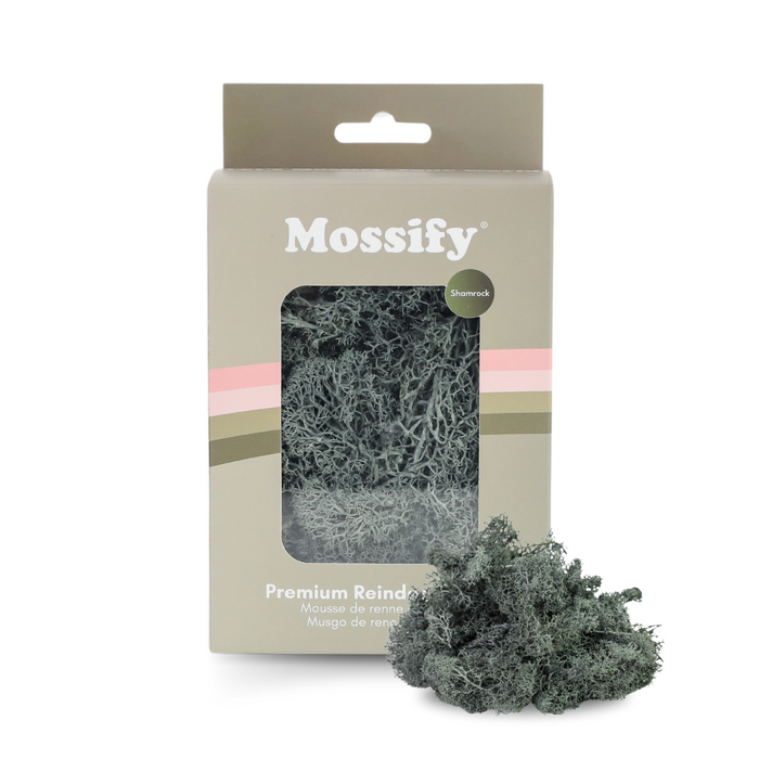 Moss Variety Pack