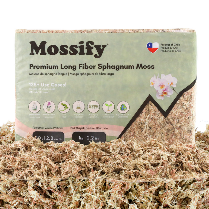 Premium Sphagnum Moss