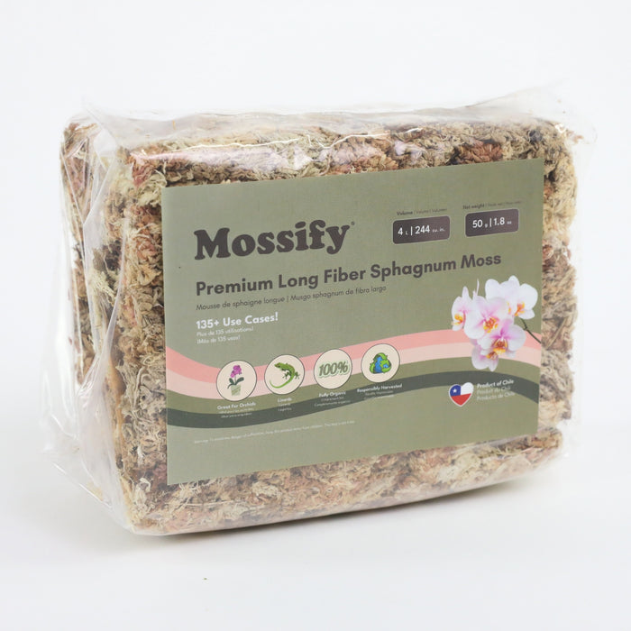 Moss Variety Pack