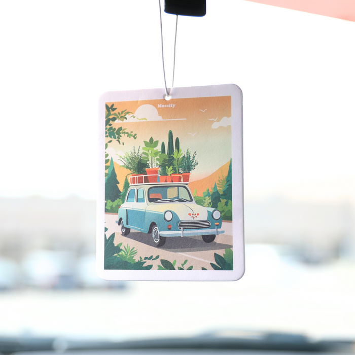 Mossify Air Fresheners