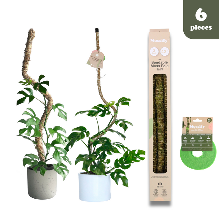 Pack de support pour plantes pliable ultime