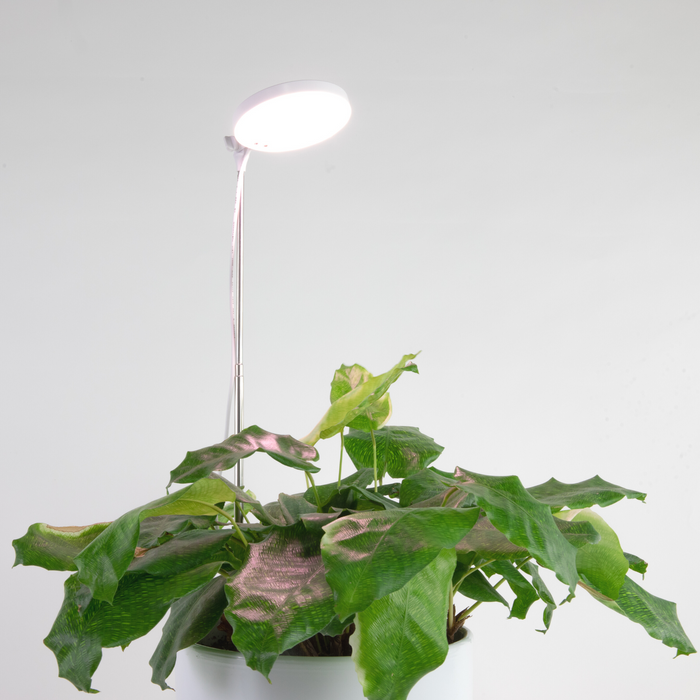 Lampe ajustable au LED pour plante intérieur MOSSIFY – Jardinerie Fortier